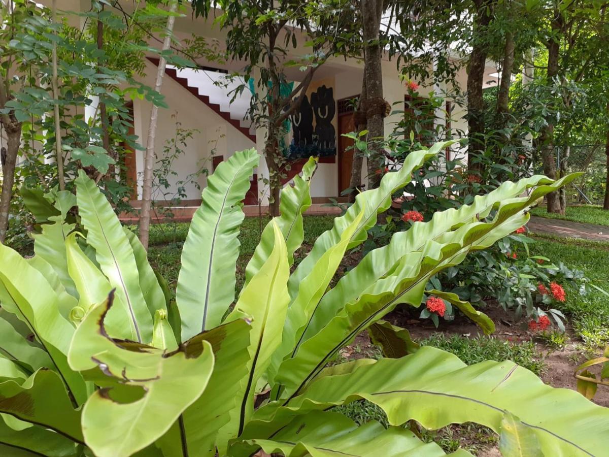 Yonara Green Rest Habarana Extérieur photo